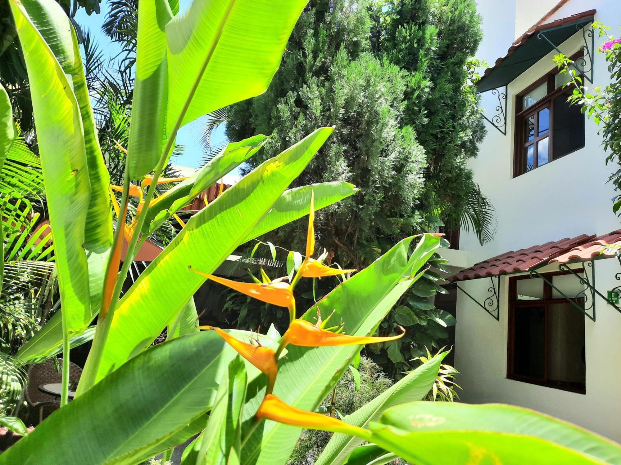 Casa Los Cantaros Hotel Boutique Oaxaca Exterior photo