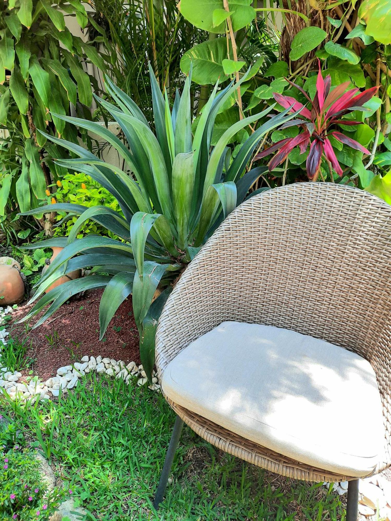 Casa Los Cantaros Hotel Boutique Oaxaca Exterior photo